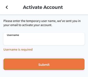 ALICE Portal Activate Account